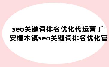 seo关键词排名优化代运营 广安椿木镇seo关键词排名优化官网